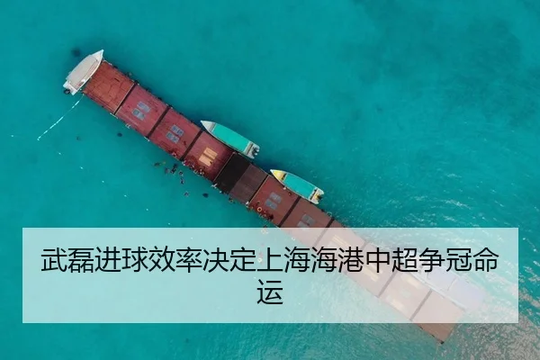 wu-lei-jin-qiu-xiao-lv-jue-ding-shang-hai-hai-gang-zhong-chao-zheng-guan-ming-yun-3-223.jpg