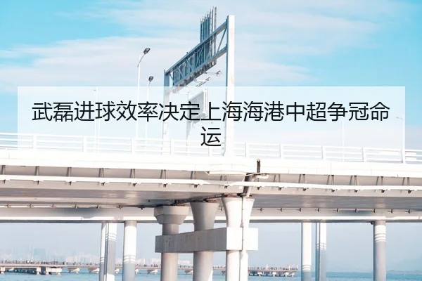 武磊进球效率决定上海海港中超争冠命运