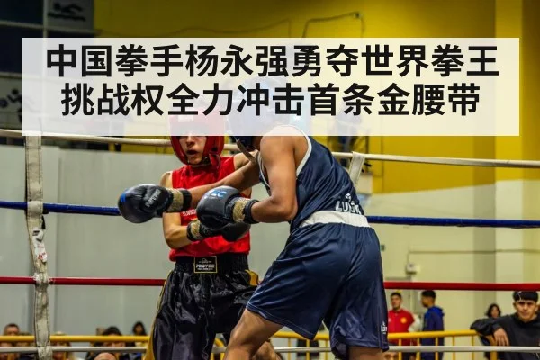中国拳手杨永强勇夺世界拳王挑战权全力冲击首条金腰带