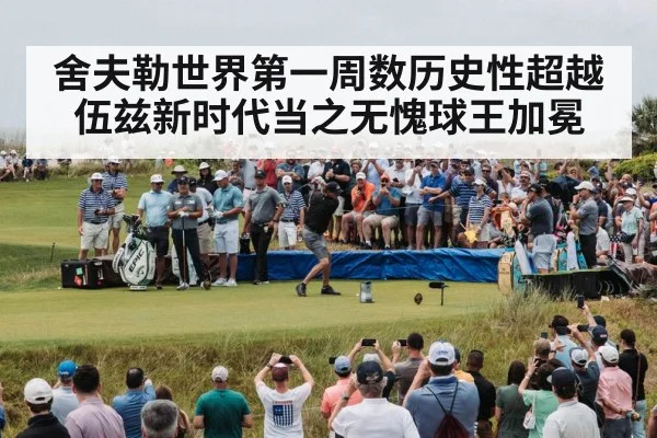 舍夫勒世界第一周数历史性超越伍兹新时代当之无愧球王加冕